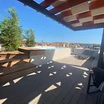 Shell Sky Luxury Penthouse With Private Pool * 扎达尔